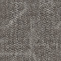 Visualize Tile