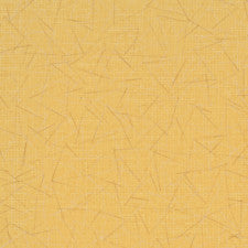 Joy Squared 12X48