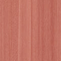 Envelop