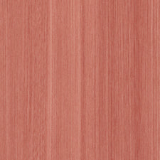 Envelop