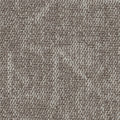 Visualize Tile