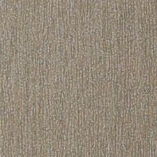 Grain Direct Glue