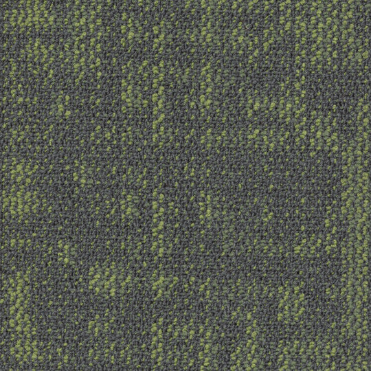 Daydreamer Tile