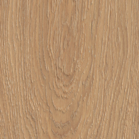 Camaret Oak