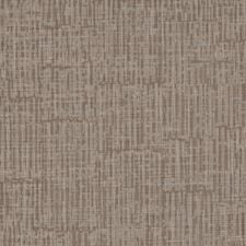 Terrace 2.5 Mm