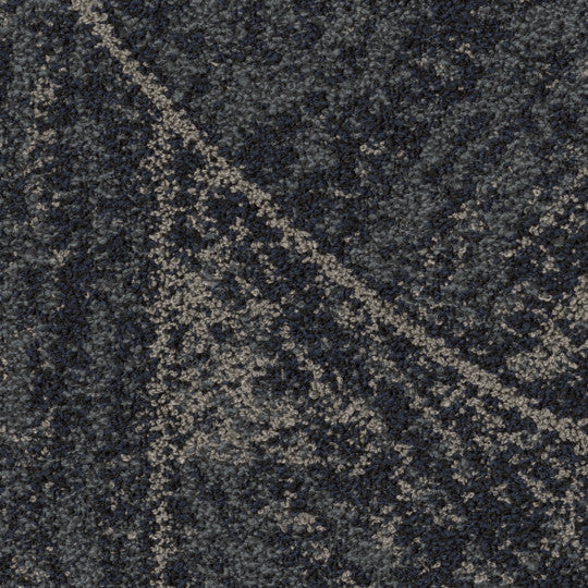 Atticus Tile
