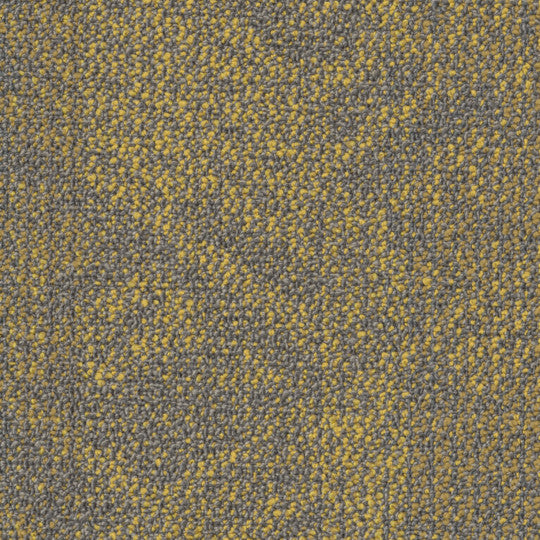 Imagine Tile