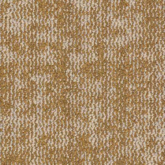 Expression Tile