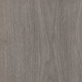 Branching Out 5.0 Mm