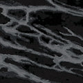 Carrara 12X15
