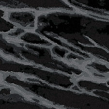 Carrara 12X15