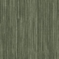 Colorlink 5.0